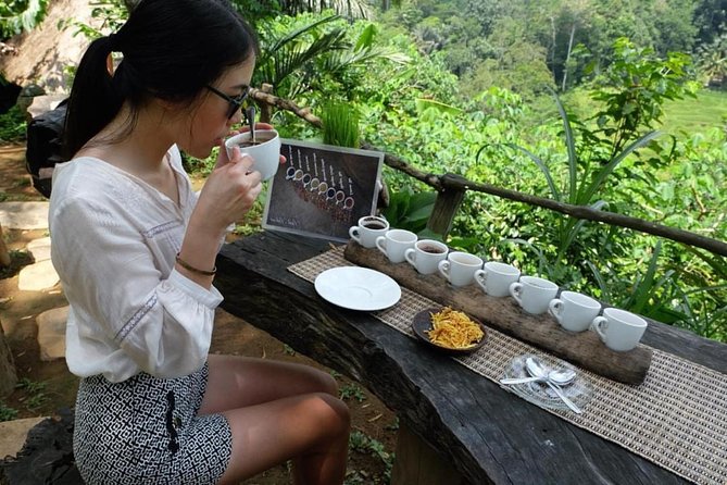 Ubud Tour with Swing, Temple, Monkey Forest, and Waterfall - Happy Swing Bali: Jungle Views and That Classic Photo