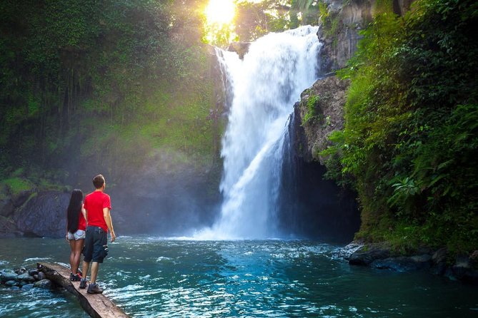 Ubud Tour with Swing, Temple, Monkey Forest, and Waterfall - Village Stops for Batik, Silver, and Wood Carving