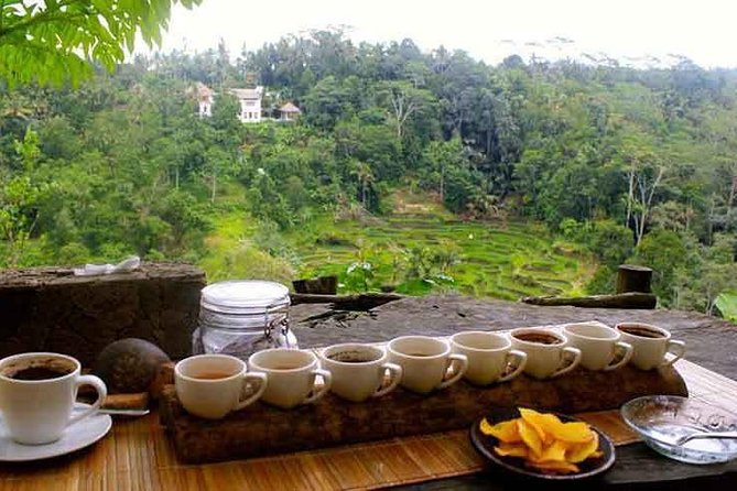 Ubud Trip, The Best of Ubud in a day - All Inclusive - Tegalalang rice terraces, viewpoints, and irrigation know-how
