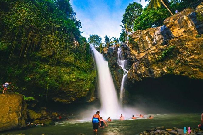 Ubud Trip, The Best of Ubud in a day - All Inclusive - Tegenungan Waterfall, swimming chances, and comfort tips