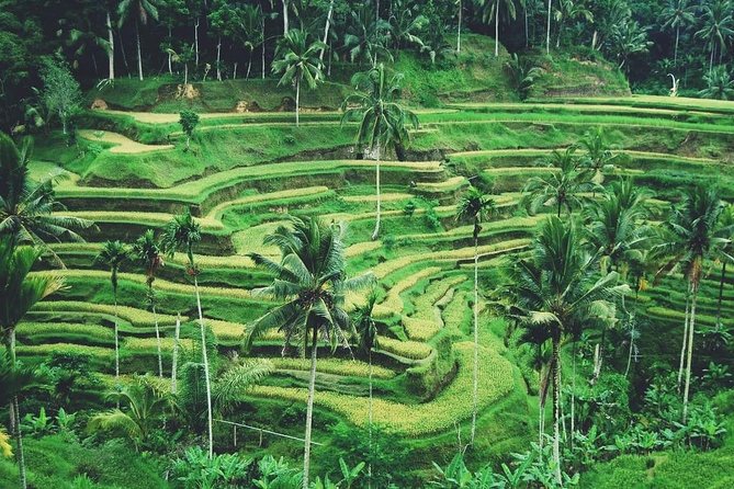 Ubud Trip, The Best of Ubud in a day - All Inclusive - Celuk Village jewelry making in silver and gold