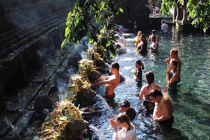 Ubud Trip, The Best of Ubud in a day - All Inclusive - Price and value: where your money really goes