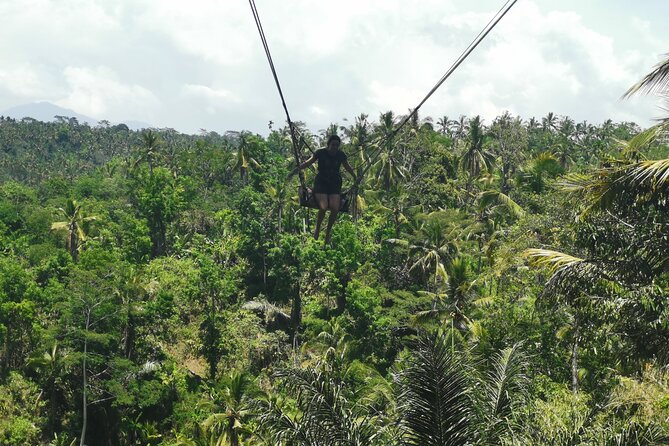 Ubud Village, Tegalalang Rice Terrace Swing, Tirta Empul Temple and Waterfafall - A smooth 9 to 10 hour loop from Seminyak to Ubud’s top sights
