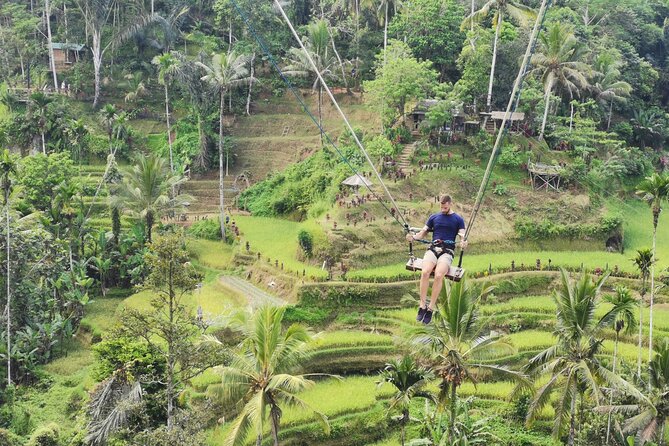 Ubud Village, Tegalalang Rice Terrace Swing, Tirta Empul Temple and Waterfafall - What the 4.9 rating says in real life, and why Wayan matters