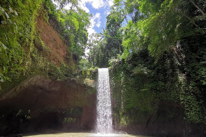 Ubud Village, Tegalalang Rice Terrace Swing, Tirta Empul Temple and Waterfafall - Campuhan Ridge Walk, where Ubud’s story begins at two rivers