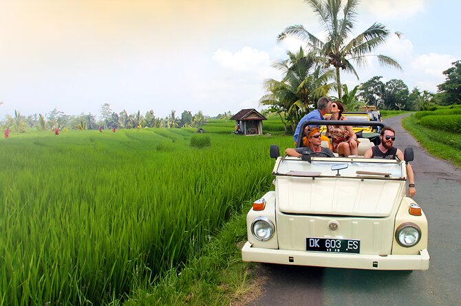 Ubud VW Safari Bali Tour - Volkswagen Classic Car Trip - Tegalalang Rice Terrace: the iconic terraces, timed for your photos