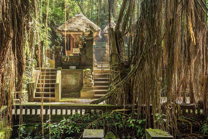 Ubud: Waterfall, Rice Terraces, and Monkey Forest Private Tour - Tegenungan Waterfall: the rocky shelf drop and swim timing