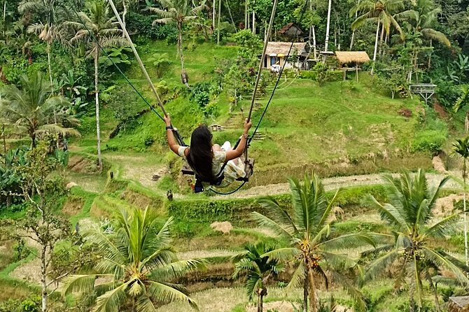 Ubud Waterfall Swing And Spring Temple Private Guided Tour - Mount Batur and coffee tasting: what the description promises