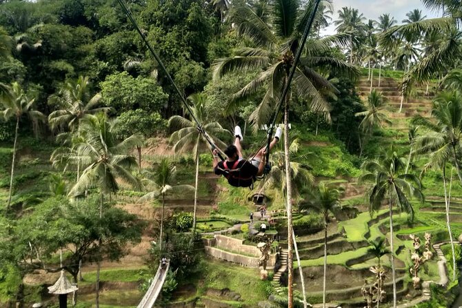 Ubud Waterfall Swing And Spring Temple Private Guided Tour - Price and value: what you are really paying for