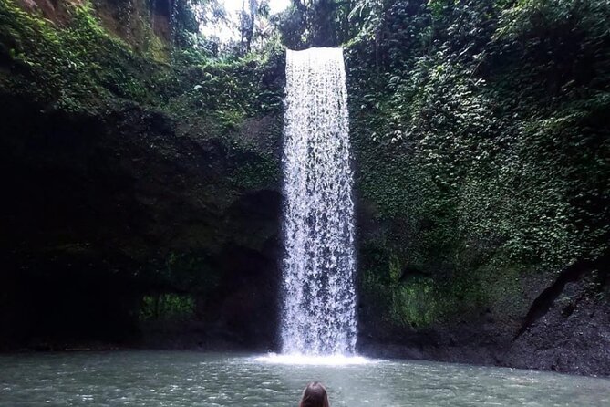 Ubud Waterfalls, Rice Terrace & Jungle Swing - Private Tour - Key things to know before you go