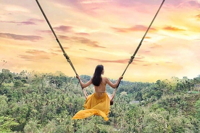 Ubud Waterfalls, Rice Terrace & Jungle Swing - Private Tour - Tegalalang Rice Terrace: the iconic walk and what makes it worth your time