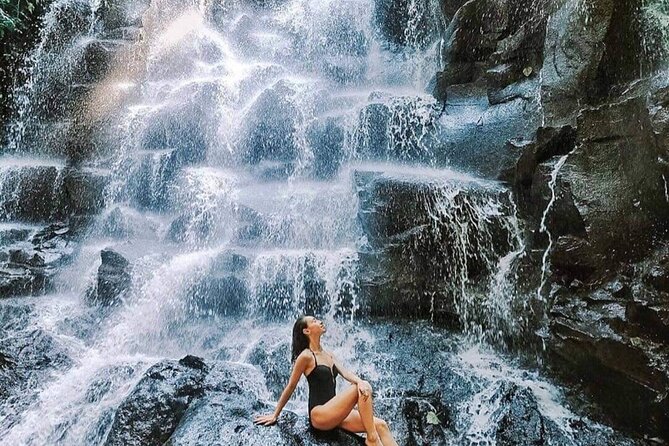 Ubud Waterfalls, Rice Terrace & Jungle Swing - Private Tour - Price and value: what $23.38 covers and what it does not