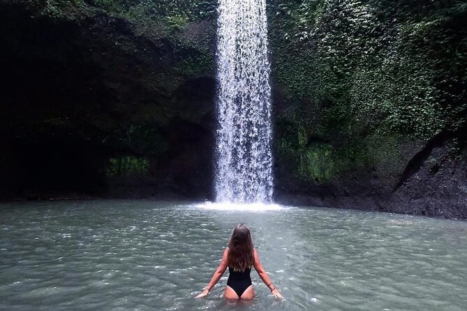 Ubud Waterfalls, Temple and Rice Terrace - Private Tour - How This Ubud Day Packs Waterfalls, Temple, and Rice Paddies