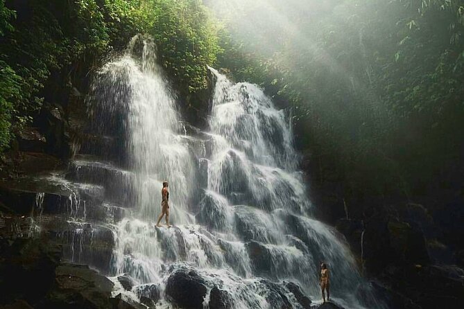 Ubud Waterfalls, Temple and Rice Terrace - Private Tour - Pickup and Timing: The Small Details That Make the Day Work