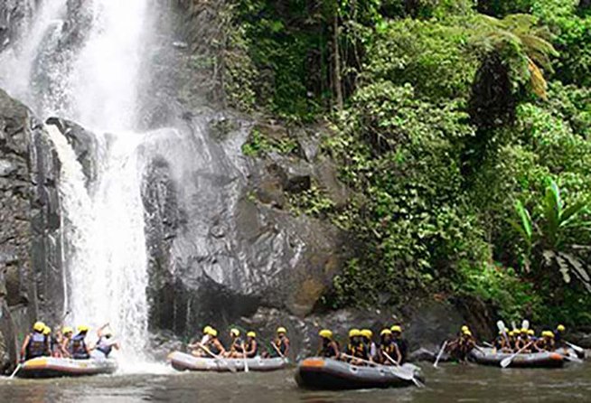 Ubud White Water Rafting on the Ayung River with Pickup & Lunch - Ayung River rafting in Ubud, 7.5 miles of action that fits real schedules