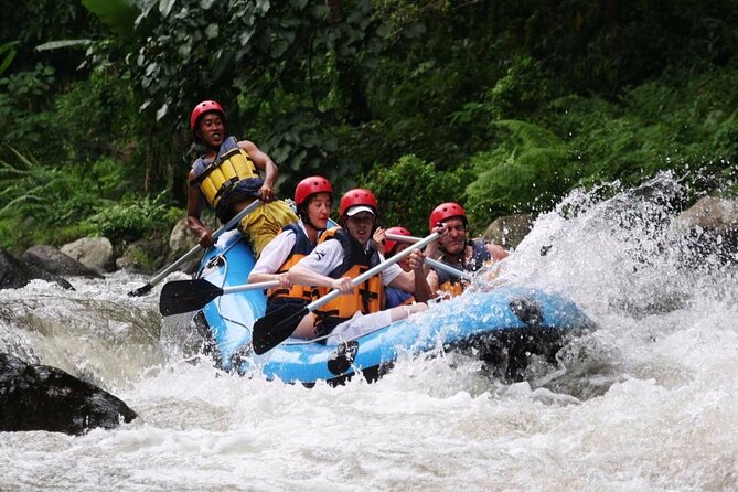 Ubud White Water Rafting with Waterfall and Lunch - Key points before you go
