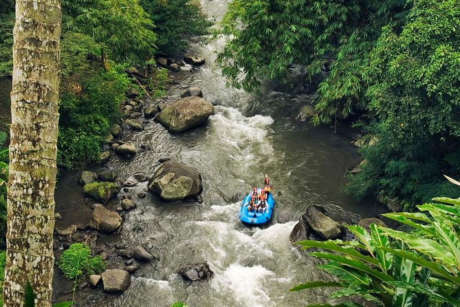 Ubud White Water Rafting with Waterfall and Lunch - Ayung River rafting in Ubud: what you do on the water