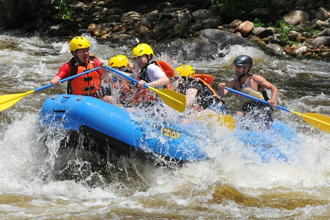 Ubud White Water Rafting with Waterfall and Lunch - Safety and guide quality: what the best runs have in common