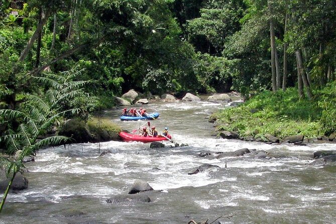 Ubud White Water Rafting with Waterfall and Lunch - Waterfalls, wildlife, and the exact flow of the day