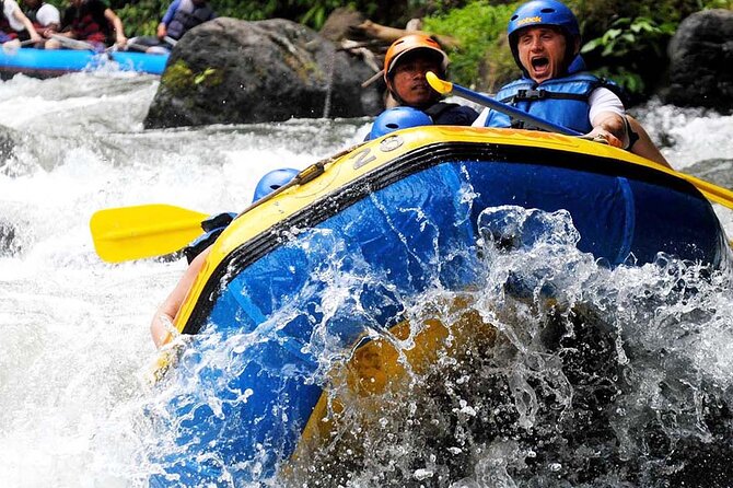 Ubud White Water Rafting with Waterfall and Lunch - Price and value: what $26.97 actually buys you