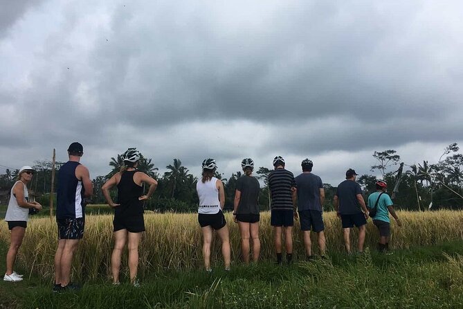 Ubud Wonderful Half Day Downhill Cycling Tour with Lunch - The cycling reality: what mostly-downhill means for you