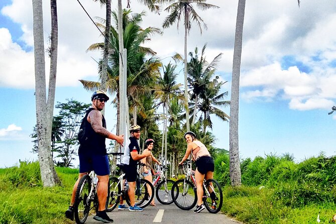 Ubud Wonderful Half Day Downhill Cycling Tour with Lunch - Price and value: what you are really paying for