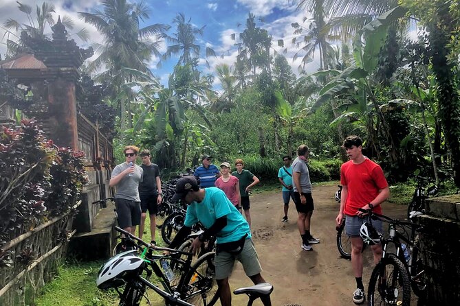 Ubud Wonderful Half Day Downhill Cycling Tour with Lunch - Who this tour suits best, and who might want to reconsider