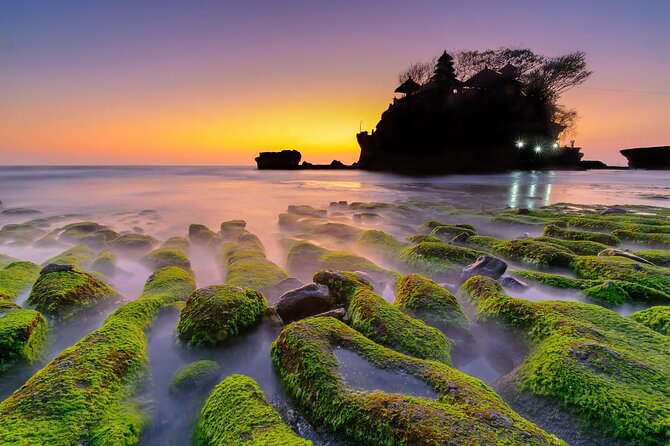 Ultimate North Bali Tour – Tanah Lot, Ulun Danu & Rice Terraces - Jatiluwih rice terraces: the long view of Bali’s farming slopes