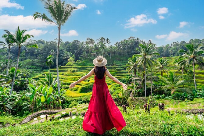 Ultimate Ubud Experience All Inclusive Private Day Tour - The 10-Hour Ubud Reality Check (and why it can still be worth it)