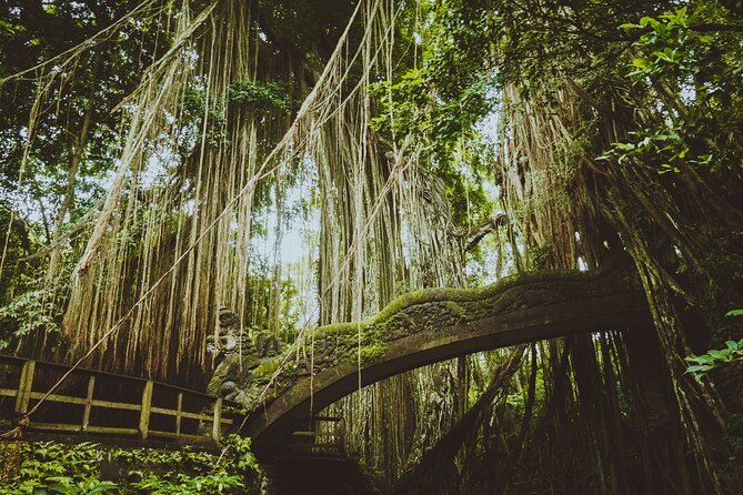 Ultimate Ubud Experience All Inclusive Private Day Tour - Sacred Monkey Forest Sanctuary: how to enjoy the chaos safely