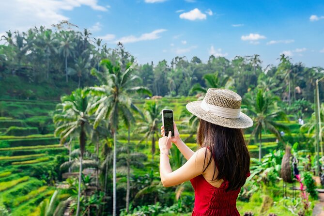 Ultimate Ubud Experience All Inclusive Private Day Tour - Entrance tickets and the lunch gap: where value can quietly change
