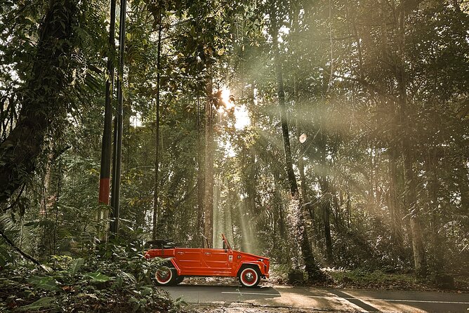 Vintage Volkswagen Bali Tour - Tegalalang Rice Terrace: the best part is that you can walk