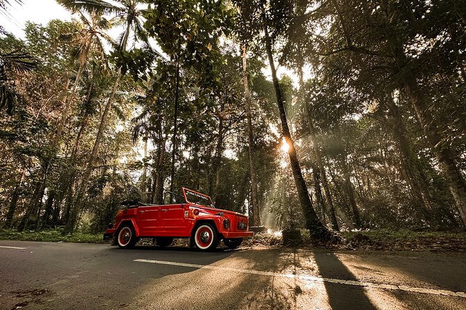 Vintage Volkswagen Bali Tour - Art village time and coffee break: artisans and small skills