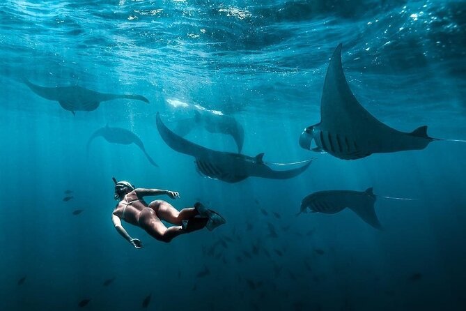 VIP Private Boat to Nusa Penida: Snorkeling with Mantas + Land Tour Adventure - Crystal Bay: the calmer swim break on the west coast