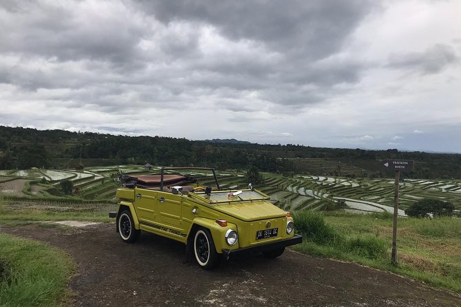 VW Safari,Bayan Ancient Tree,Jatiluwih,Wanagiri,Banyumala Twin Waterfalls - Price, timing, and logistics that actually affect your day