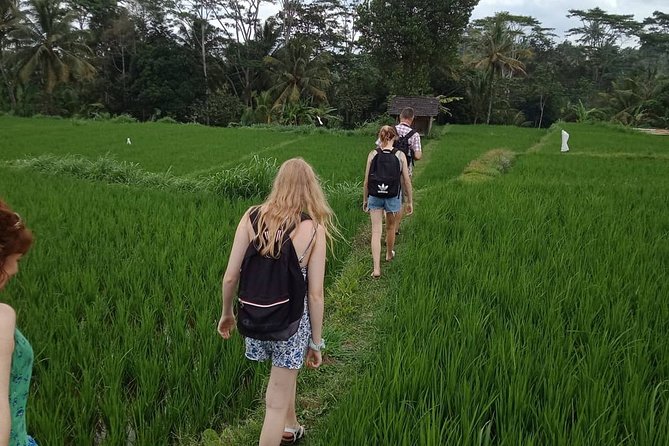 Waterfall Tour And Sasak Traditional Tour - Batik Painting Gallery: A Creative Break From the Outdoors