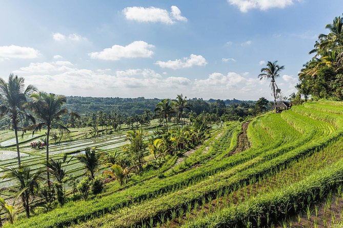 West Bali Tour: Taman Ayun, Ulun Danu Beratan, Jatiluwih Rice Terrace, Tanah Lot - Ulun Danu Bratan Temple: The Lake Temple Feels Cool for a Reason