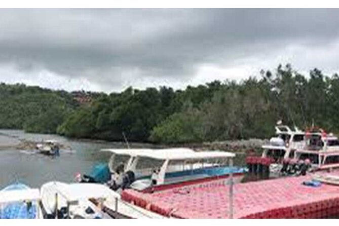 West Nusa Penida Full-Day Private Tour - Guides, English support, and what “private” changes