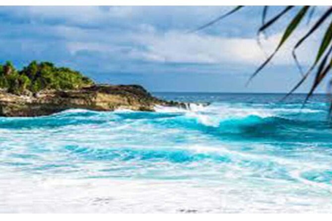 West Nusa Penida Full-Day Private Tour - Price and value: what $99 per person buys you