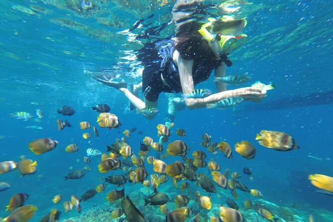 West Nusa Penida With Snorkeling Private Guided Tour - Key highlights at a glance