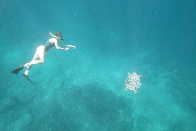 West Nusa Penida With Snorkeling Private Guided Tour - Kelingking Beach, Angel’s Billabong, Broken Beach