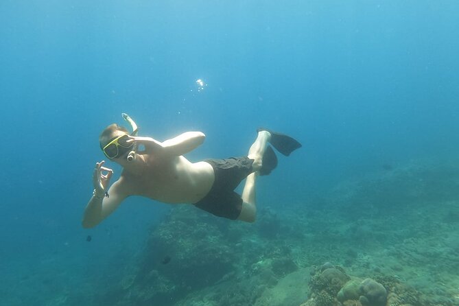 West Nusa Penida With Snorkeling Private Guided Tour - Lunch, coconut drink, and the human rhythm of a long day