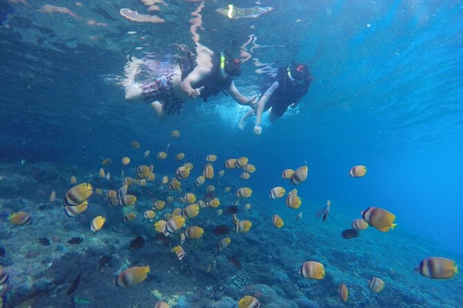 West Nusa Penida With Snorkeling Private Guided Tour - Snorkeling plan: Manta Point, Gamat Bay, Crystal Bay