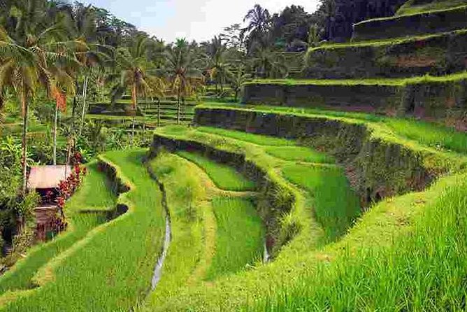 Wonderful Of Ubud Tours - Goa Gajah (Elephant Cave Temple): A Visitable Archaeological Site